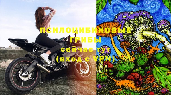 дурь Козельск