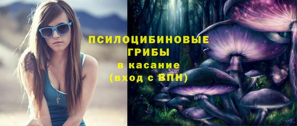 дурь Козельск