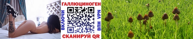 Купить  Шарья  Псилоцибиновые грибы мицелий 